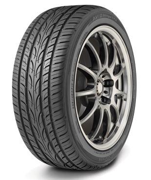 AVID ENVigor ZPS Tires