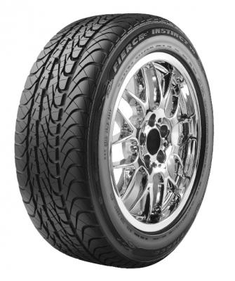 Dunlop Fierce Instinct VR 353532177 Tires